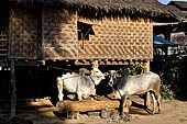 Inle Lake Myanmar. Nyaungshwe village. 